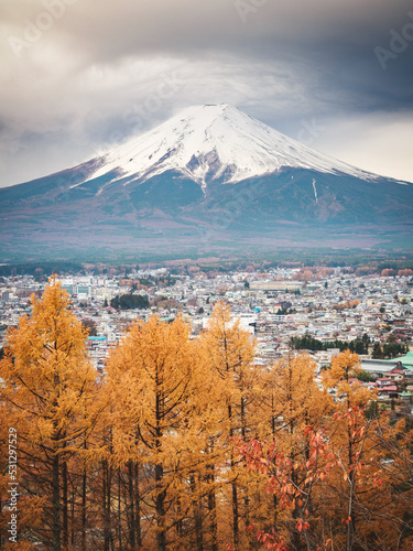 Fuji mountain in autumn