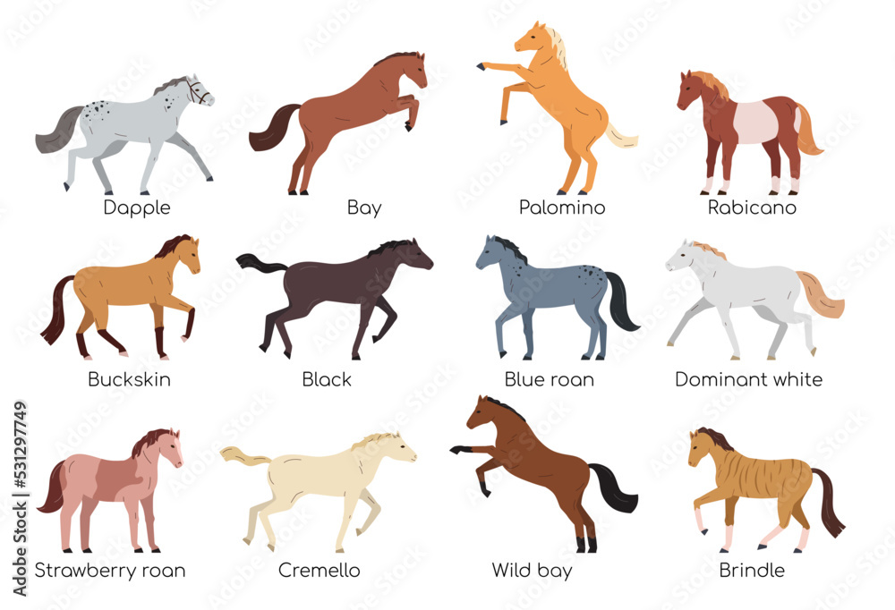 Horses Flat Set Horses Flat Set