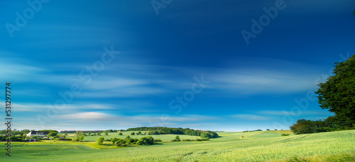 panorama of a green summer field on a sunny day and clouds on blue sky