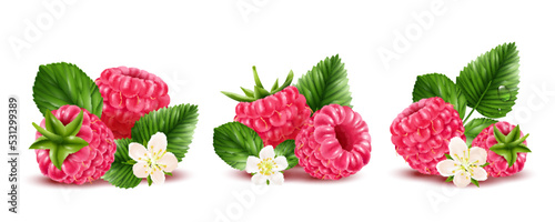 Ripe Raspberry Realistic Compositions