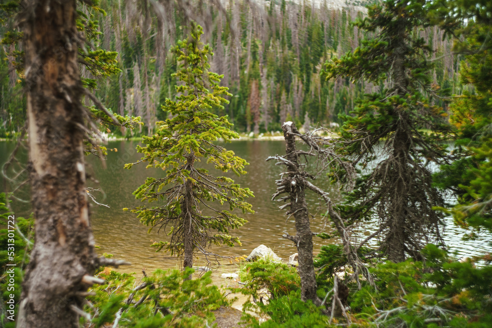 The beautiful expanse of Mirror Lake in the Uintas National Forest, surrounded by bright green trees and foliage under a cloudy, even diffuse sky The beautiful expanse of Mirror Lake in the Uintas National Forest, surrounded by bright green trees and foliage under a cloudy, even diffuse sky