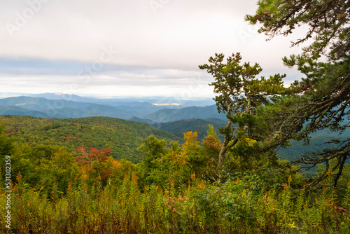 Fall colors, autumn on blue ridge parkway overlooking colorful treetops and layers of mountain tops to the horizon red green orange and yellows, Horizontal photograph framed by evergreen tree 