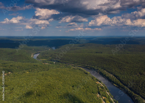 Aerial view of the river in the forest