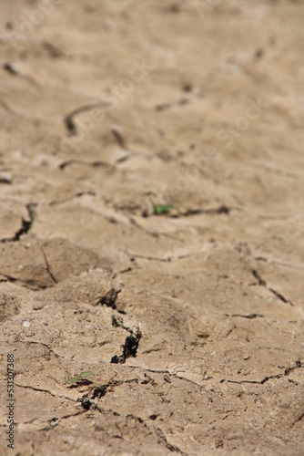 Suelo de pantano roto y agrietado por la sequía