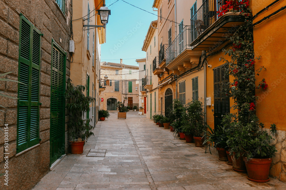 Narrow old streets with mediterranean plants