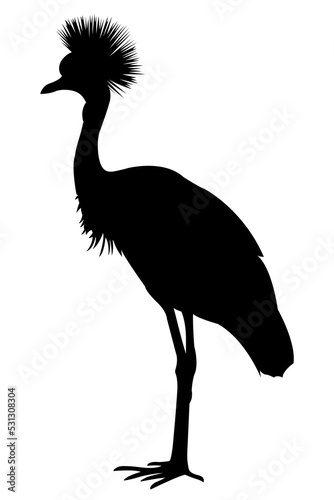 crowned crane silhouette