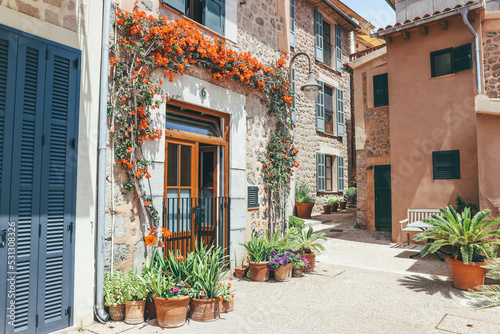 Detailed view of seaport narrow street and beautiful red flowers in sunny day