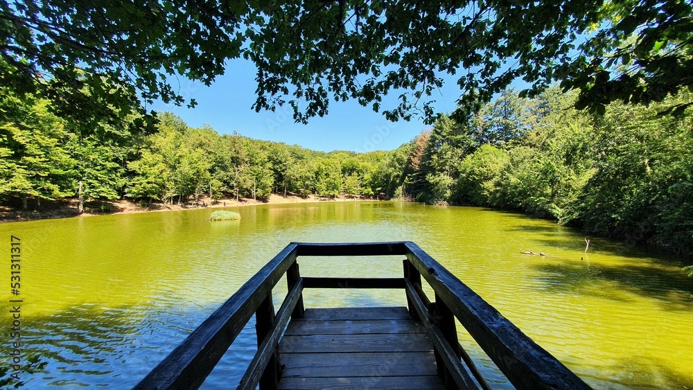 Foto Foresta Umbra Gargano