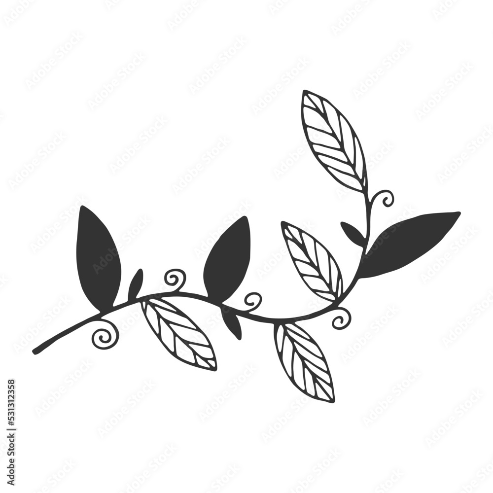 Obraz premium Hand drawn branch with leaves isolated on white background. Decorative doodle sketch illustration. Vector floral element.