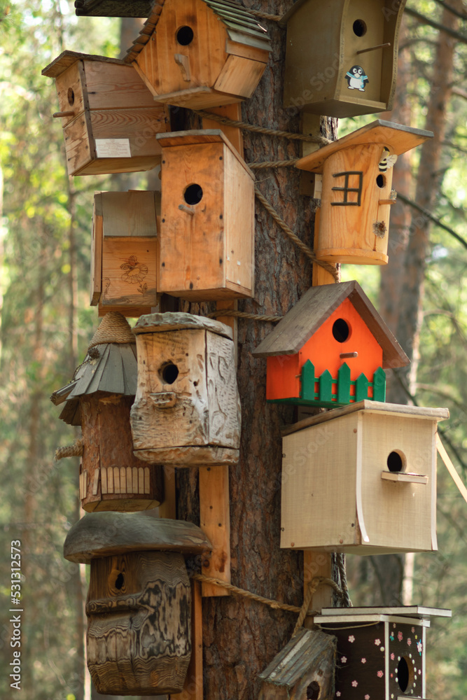 many different cute houses and birds feeders in the park
