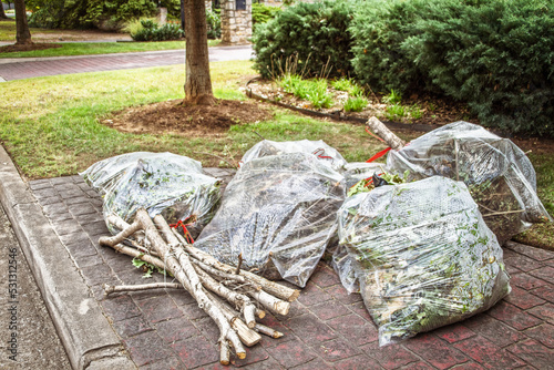 Clear plastic bags from yard cleanup piled at curb for pickup along with cut sticks tied together