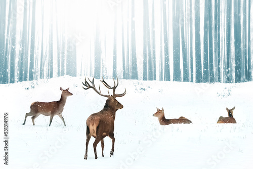 Family of noble deer in a snowy winter forest. Christmas fantasy image in blue and white color. © delbars