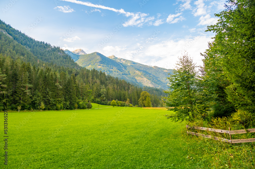 Traditional meadow near Austrian Alps. Soft green colors.