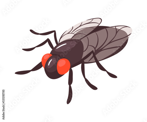 Isometric Fly Illustration