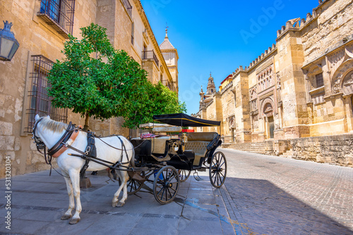 The Great Mosque (Mezquita Cathedral) in the city of Cordoba, Andalusia, Spain.