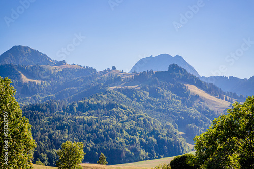 Vue sur la campagne et les Alpes Suisse autour de La Tour-de-Trême © Gerald Villena