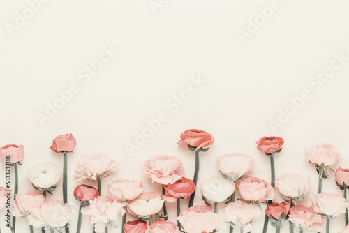 Beautiful colored ranunculus flowers on a white background.