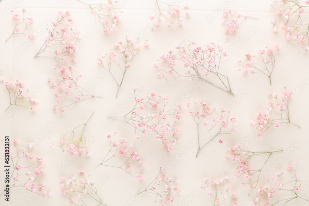 Beautiful flower background of pink gypsophila flowers. Flat lay, top view. Floral pattern. Beautiful flower background of pink gypsophila flowers. Flat lay, top view. Floral pattern.