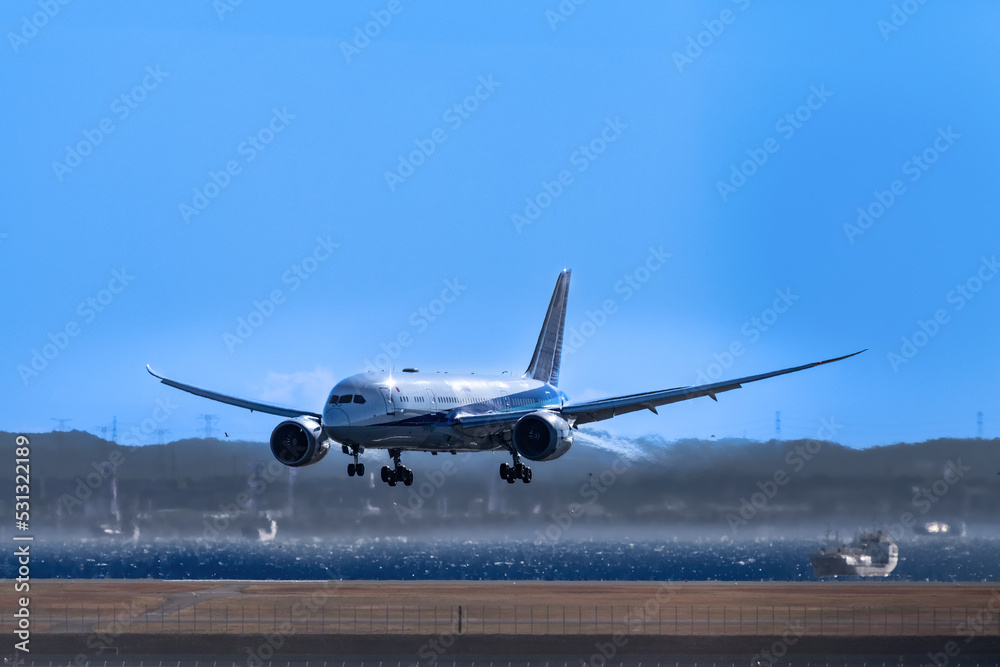 Obraz premium 羽田空港へ着陸するジェット旅客機 