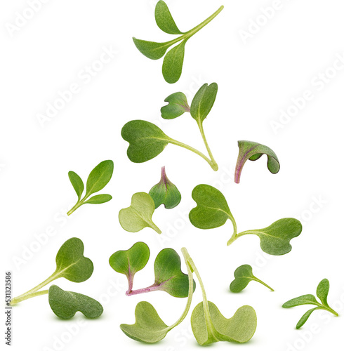 Microgreen leaves isolated 