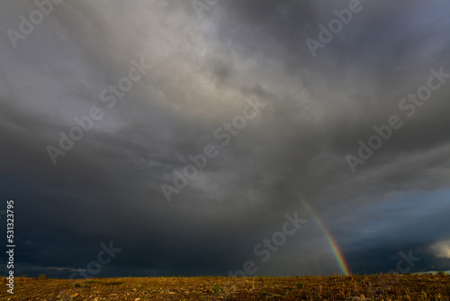 Rainbow over a field // Regenbogen über einem Feld - Wuppertal, Germany © bennytrapp
