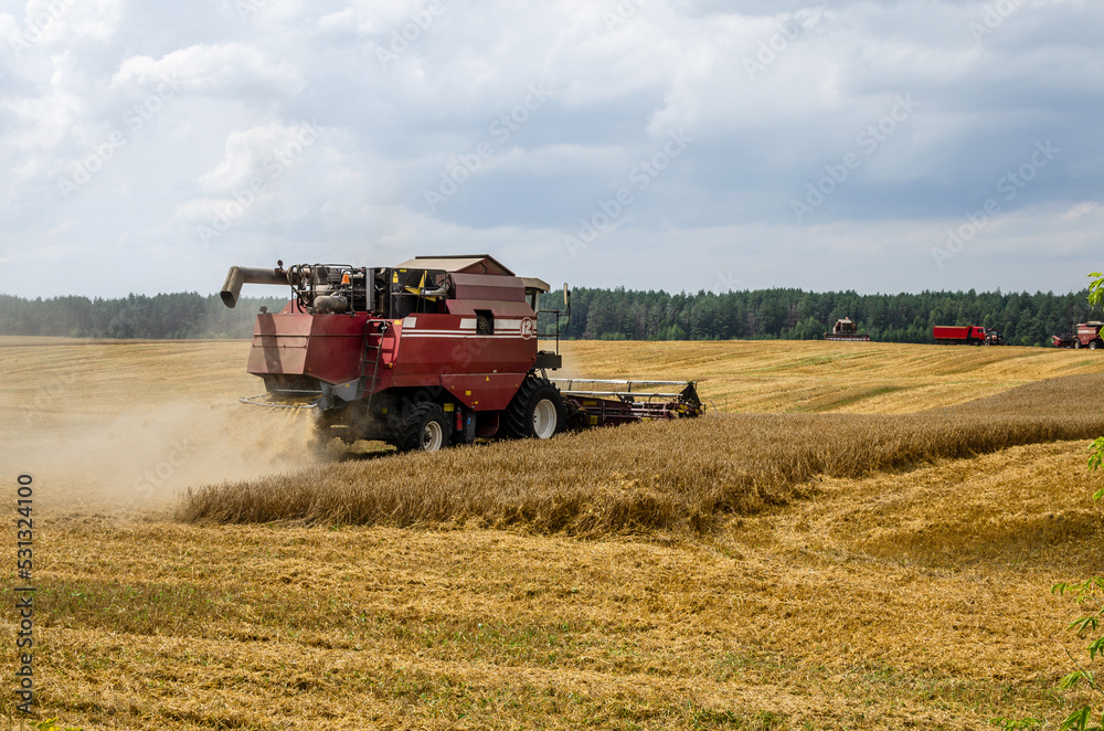 Obraz premium Working harvester in wheat field
