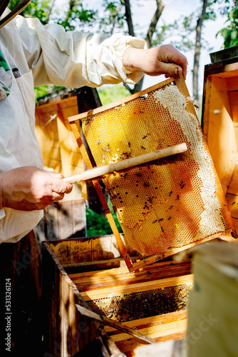Photography A beekeeper in a protective suit shakes the honey frame from bees with a brush