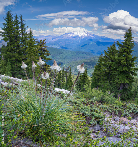 Bear Grass and Mt Jefferson in the Oregon Cascades as seen from Bachelor Mountain.