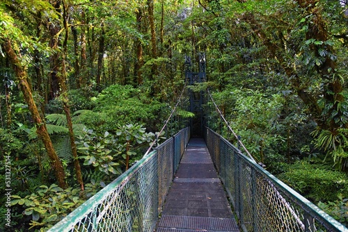 Monteverde Cloud Forest Reserve, hanging, suspended bridge, treetop canopy views, Costa Rica, Cordillera de Tilarán within the Puntarenas and Alajuela provinces. Central America.