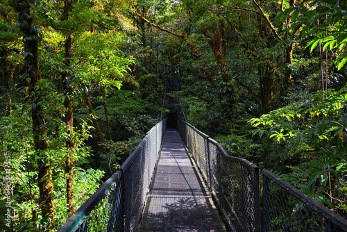 Monteverde Cloud Forest Reserve, hanging, suspended bridge,  treetop canopy views, Costa Rica, Cordillera de Tilarán within the Puntarenas and Alajuela provinces. Central America.