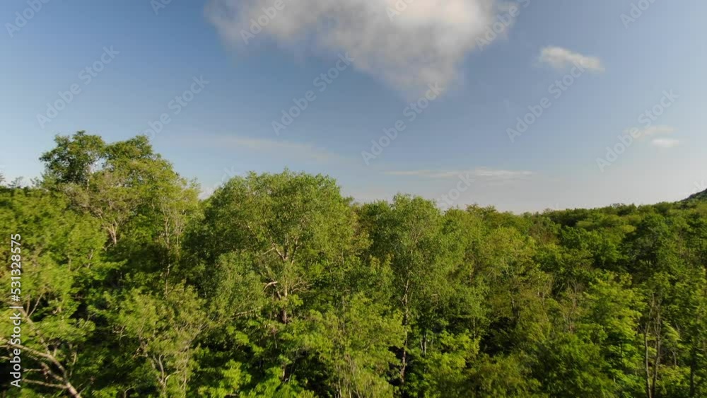 Aerial over green tree forest in Mont Tremblant with foggy horizon in summer time on blue sky day Aerial over green tree forest in Mont Tremblant with foggy horizon in summer time on blue sky day