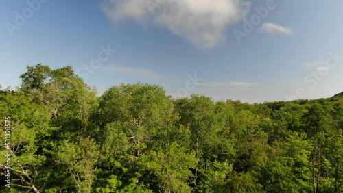 Aerial over green tree forest in Mont Tremblant with foggy horizon in summer time on blue sky day photo