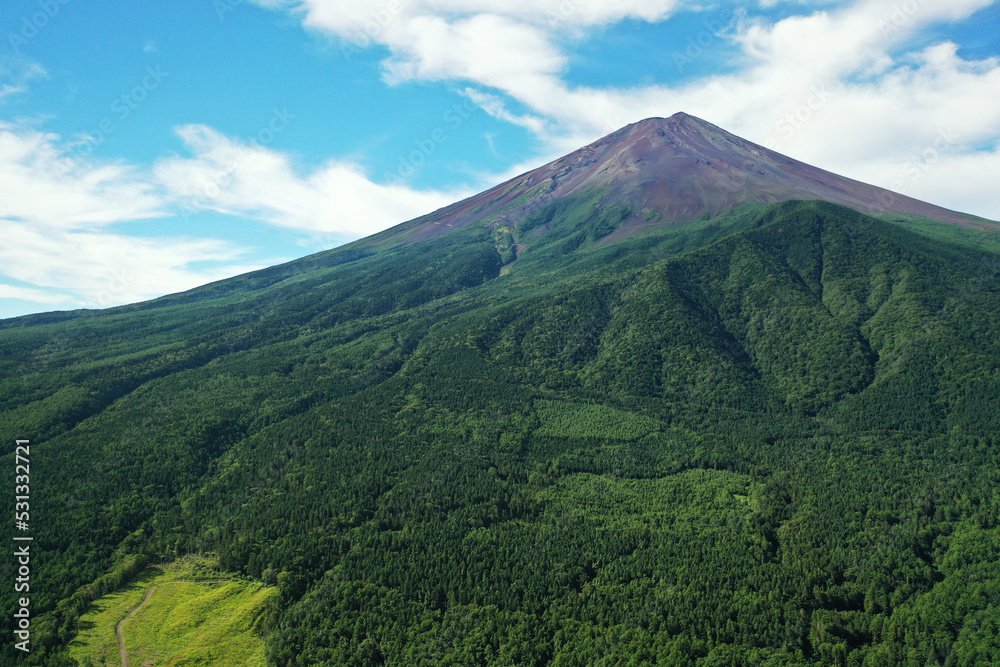 夏の富士山