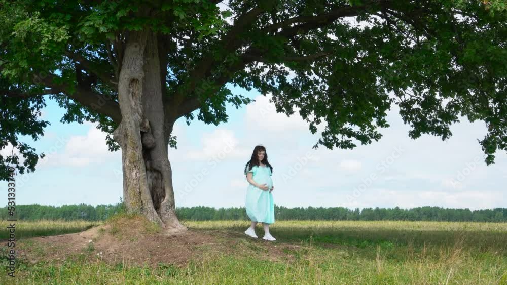 Young pregnant woman in blue dress walking in the park. Happy pregnancy. Young pregnant woman in blue dress walking in the park. Happy pregnancy.