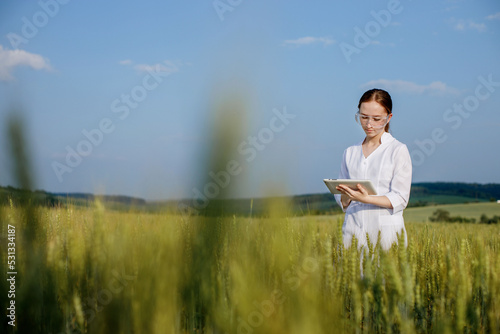 Laboratory-technician using digital tablet computer in a cultivated wheat field  application of modern technologies in agricultural activity