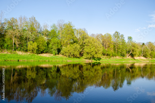 Fototapeta Naklejka Na Ścianę i Meble -  trees on the lakeshore reflect in the water