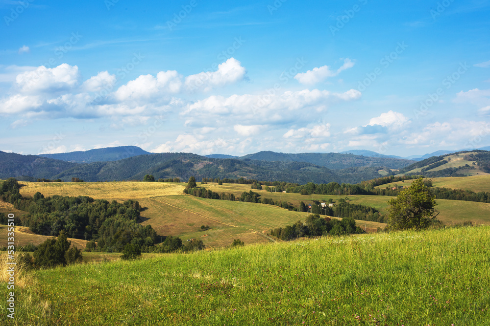 Rural landscape with green fields and forests.Summer season.
