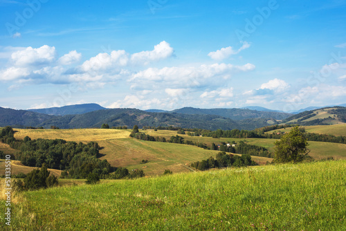 Rural landscape with green fields and forests.Summer season. © Munka