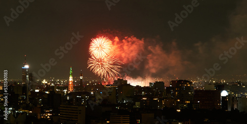 fireworks celebrating mexico's independence day, panoramic view of mexico city at night © Alejandro