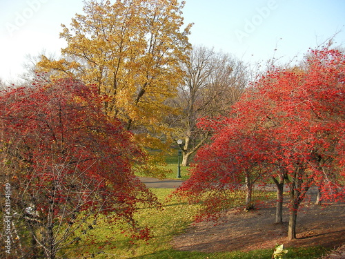 紅葉