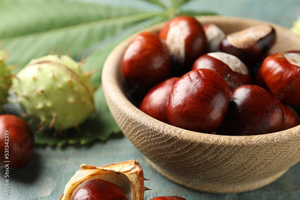 Horse chestnuts in bowl on blue wooden table, closeup Horse chestnuts in bowl on blue wooden table, closeup