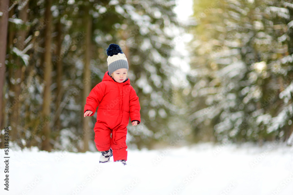 Cute toddler boy having fun on a walk in snow covered pine forest on chilly winter day. Child exploring nature. Winter activities for kids. Cute toddler boy having fun on a walk in snow covered pine forest on chilly winter day. Child exploring nature. Winter activities for kids.