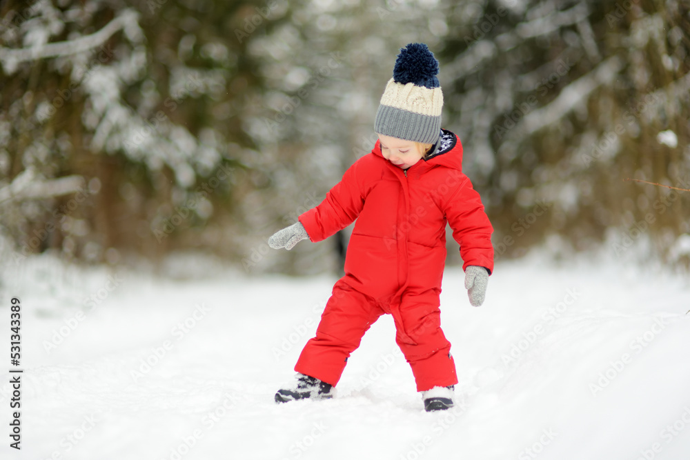 Cute toddler boy having fun on a walk in snow covered pine forest on chilly winter day. Child exploring nature. Winter activities for kids. Cute toddler boy having fun on a walk in snow covered pine forest on chilly winter day. Child exploring nature. Winter activities for kids.