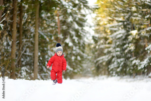 Cute toddler boy having fun on a walk in snow covered pine forest on chilly winter day. Child exploring nature. Winter activities for kids.