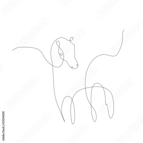 Horse freedom line  line art contour drawing 