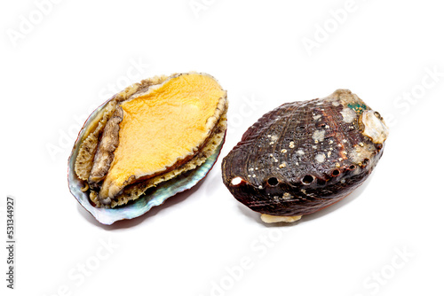 Raw fresh abalones isolated on the white background
