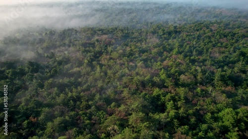 早朝の青木ヶ原樹海と富士山を空撮
