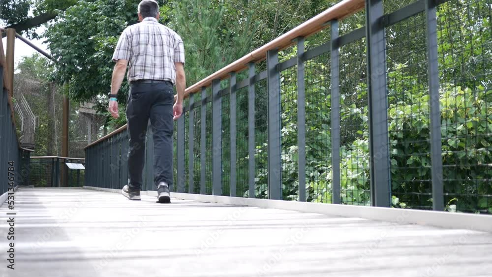 Caucasian Man walks up boardwalk in wooded area Caucasian Man walks up boardwalk in wooded area