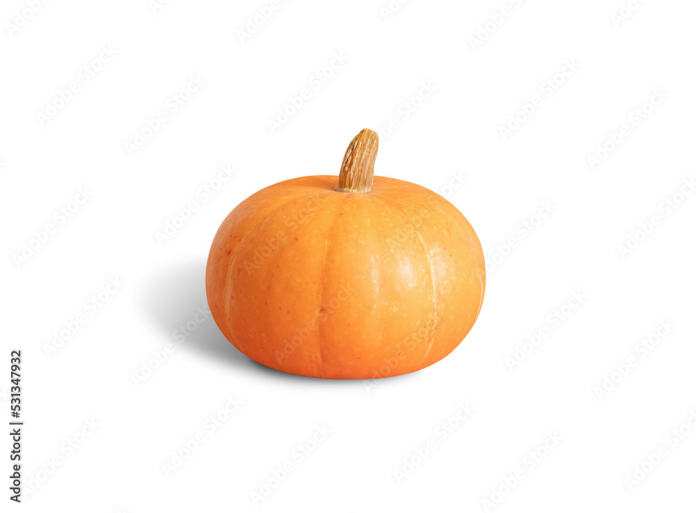 Pumpkin isolated on a white background. Halloween or Thanksgiving pumpkin.