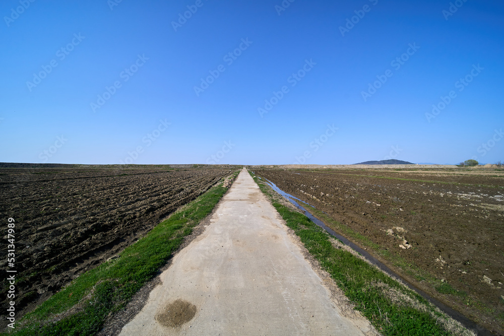Fototapeta premium road in the countryside 